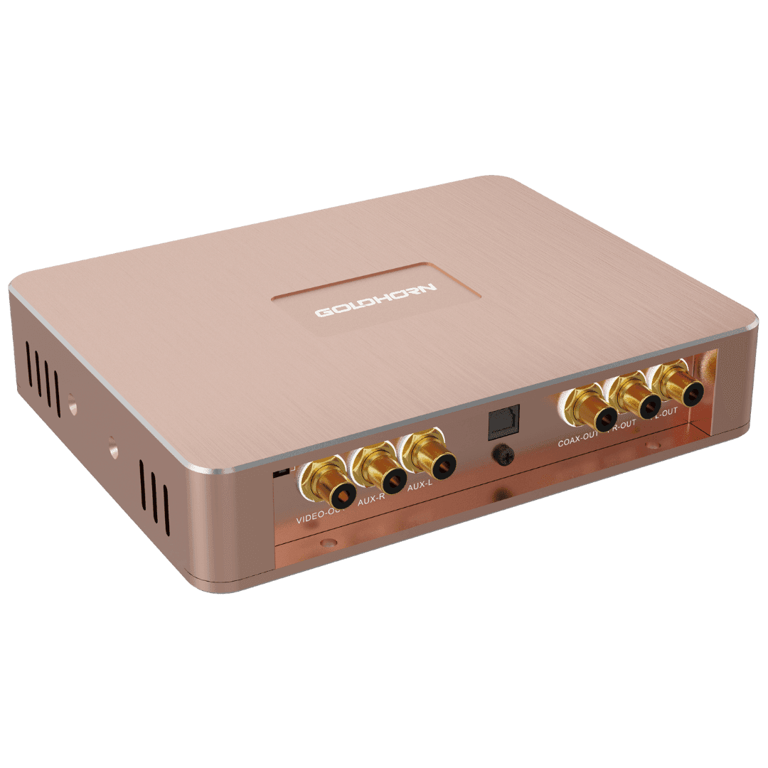 P1 | High-End Digital Player | aptX™ Bluetooth® 5.0 | Incl. Draadloze Afstandbediening