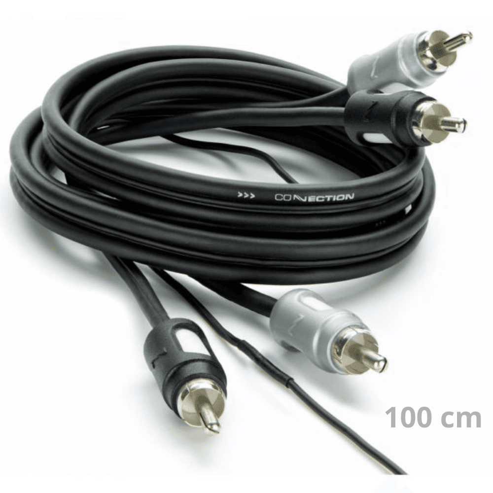 FS2 100.2